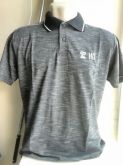 Polo HD